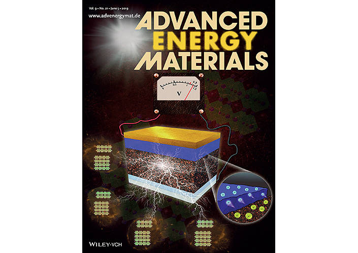 Back Cover, Advanced Energy Materials / Volume 9, Issue 21
