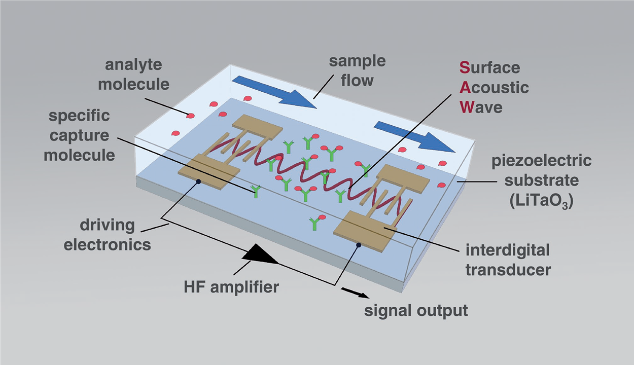 Picture of a basic SAW biosensor setup